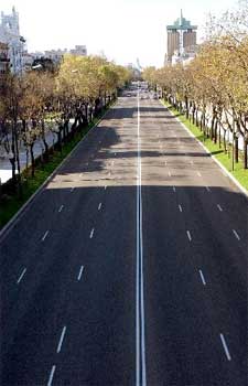 e16cd4f37131cad9i3.jpg