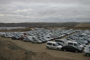 img 0206 300x199 img 0206