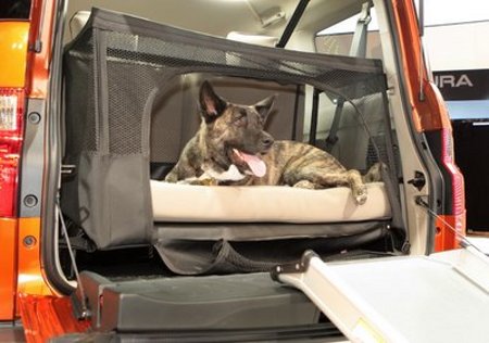 honda element dog 6  Honda Element, un auto pensado también para los perros.