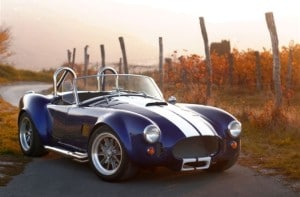 Cobra Mark 3