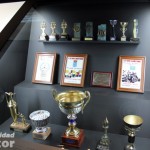 Fernando Alonso Collection