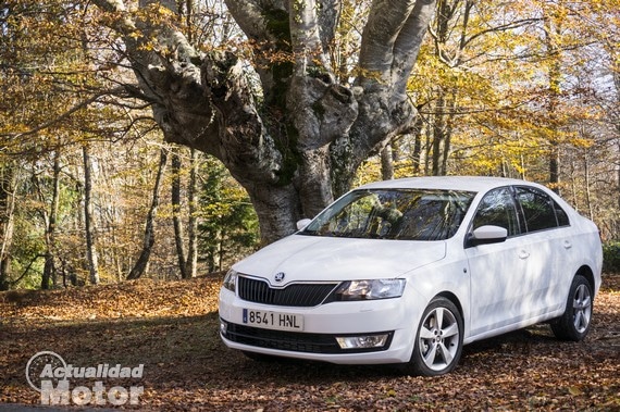 prueba-skoda-rapid-TDI-105CV-3