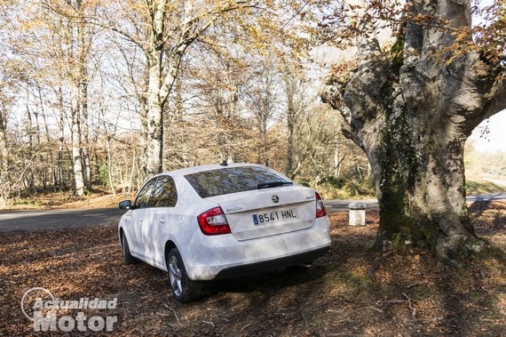 prueba-skoda-rapid-TDI-105CV-4