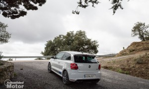 Volkswagen Polo R WRC