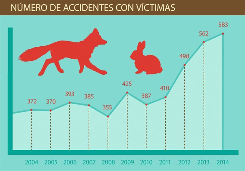 Accidentes animales victimas