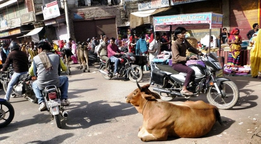 Coches autónomos India