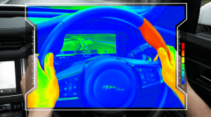 Jaguar volante sensorial