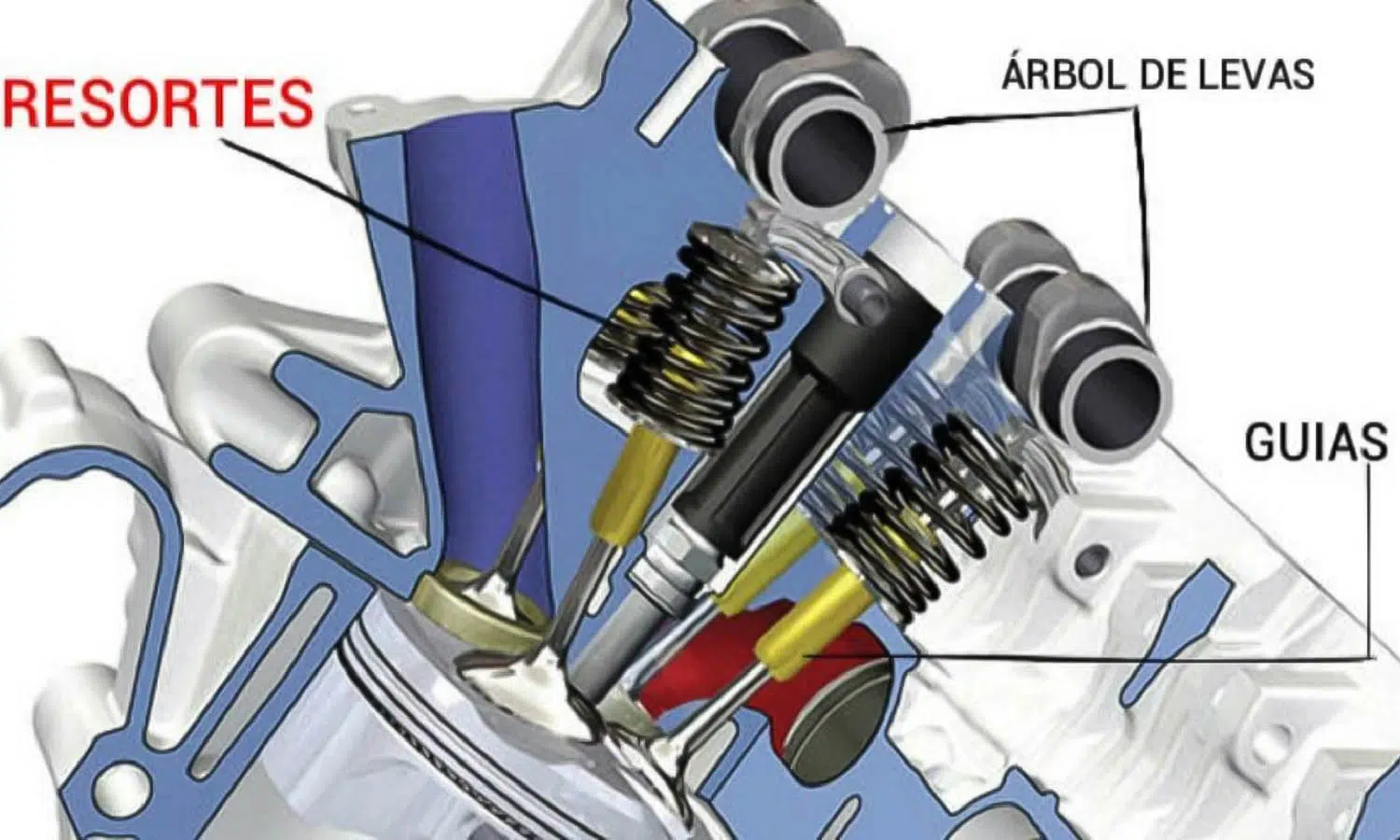 Diferencia Entre Valvula De Admision Y Escape El rol de las válvulas del motor, ¿para qué sirven? | Actualidad Motor