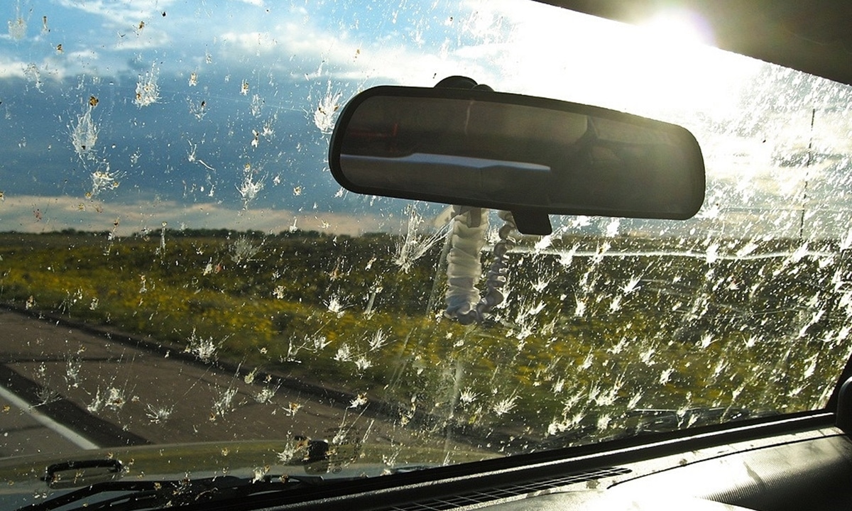 dirty windshield