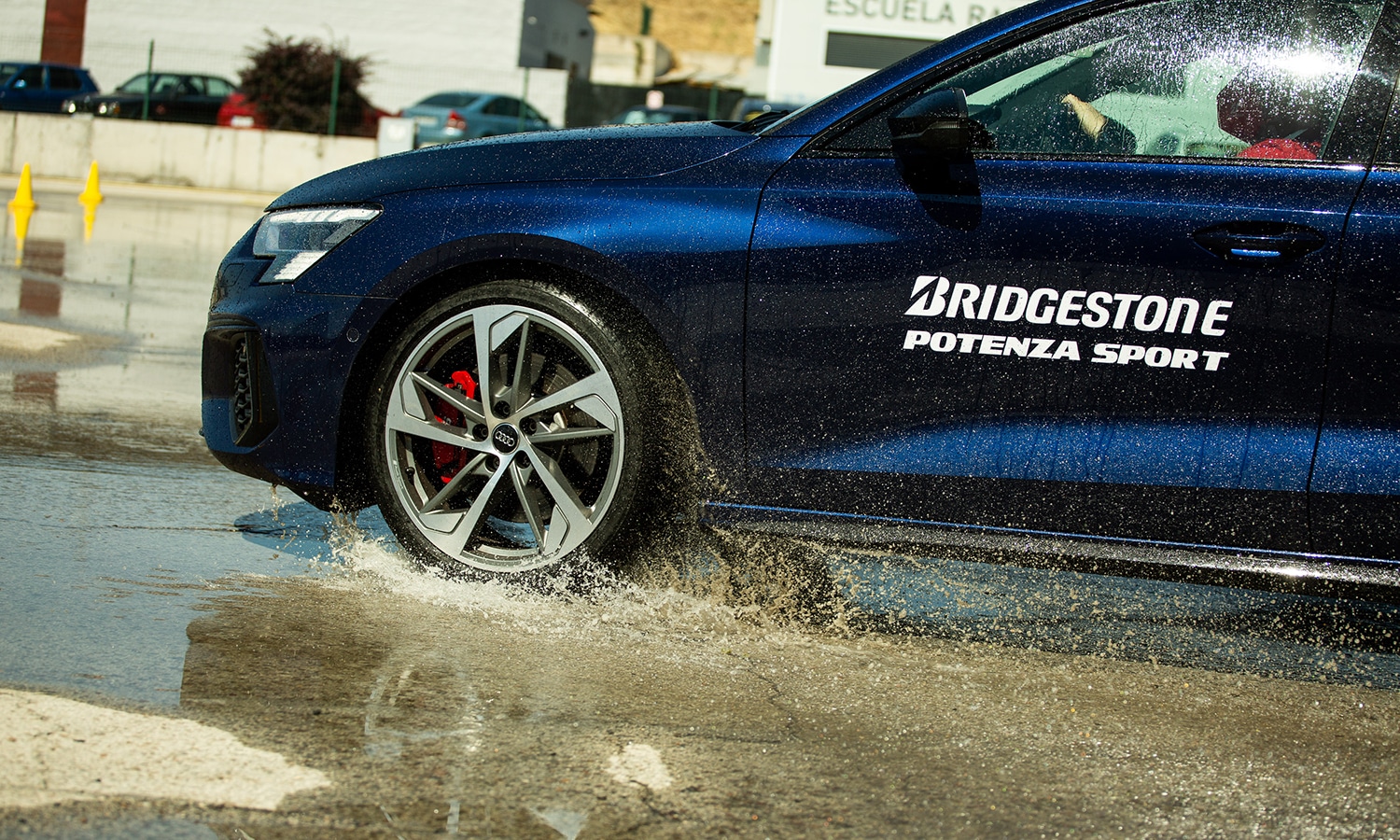 Bridgestone Potenza Sport nat