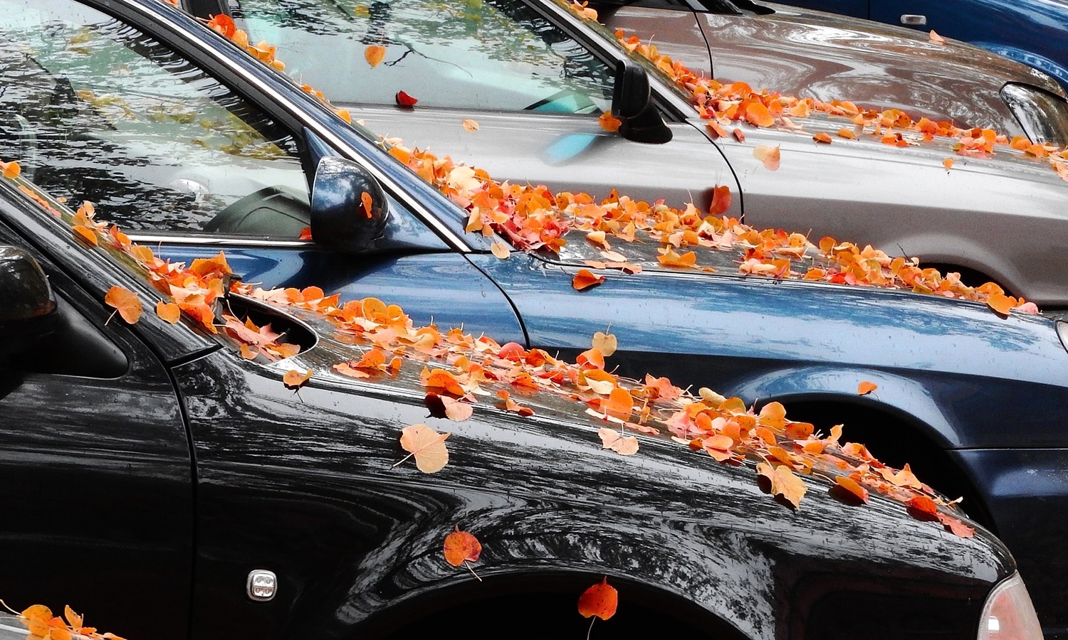 Ventas de coches de segunda mano