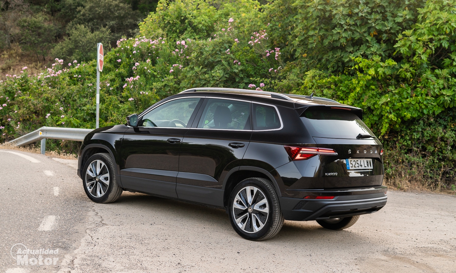 Skoda Karoq 2022 Style Exterior