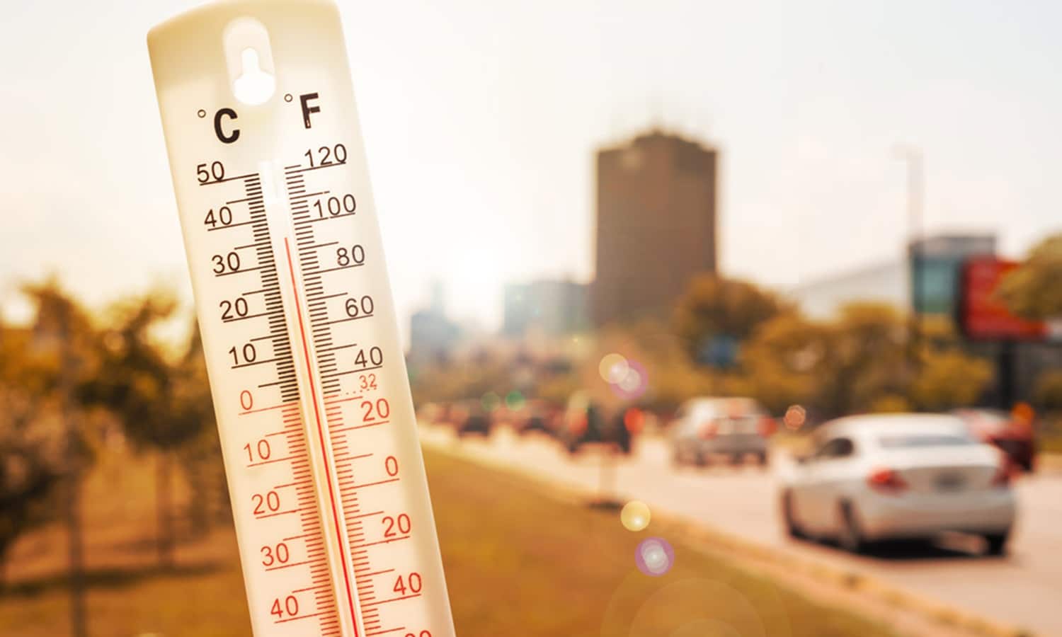 Coche calor extremo averías