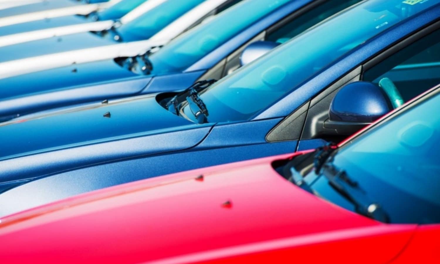 Documento dgt carnet dni