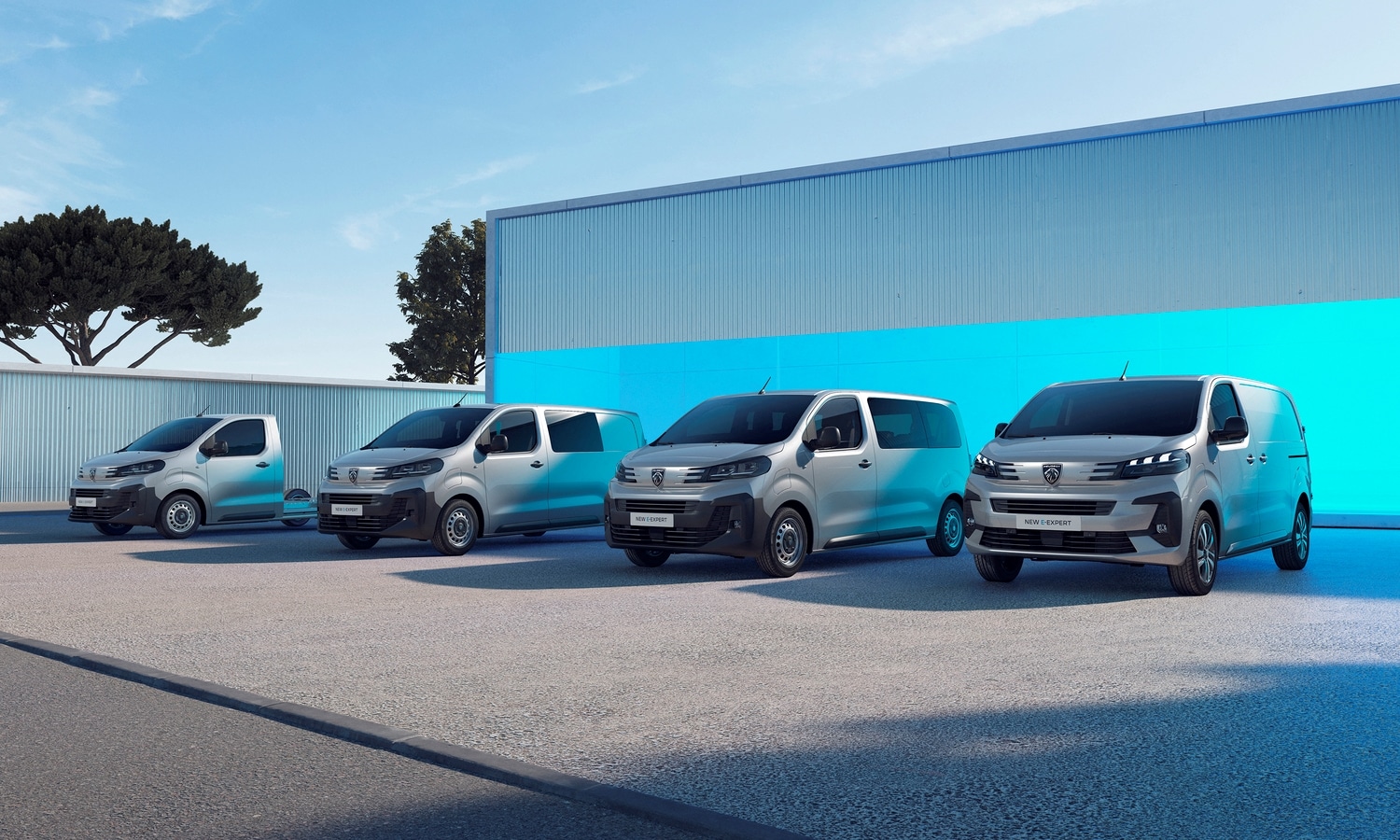 Peugeot E-Partner vs Peugeot E-Expert vs Peugeot E-Boxer 2 - DGT furgonetas