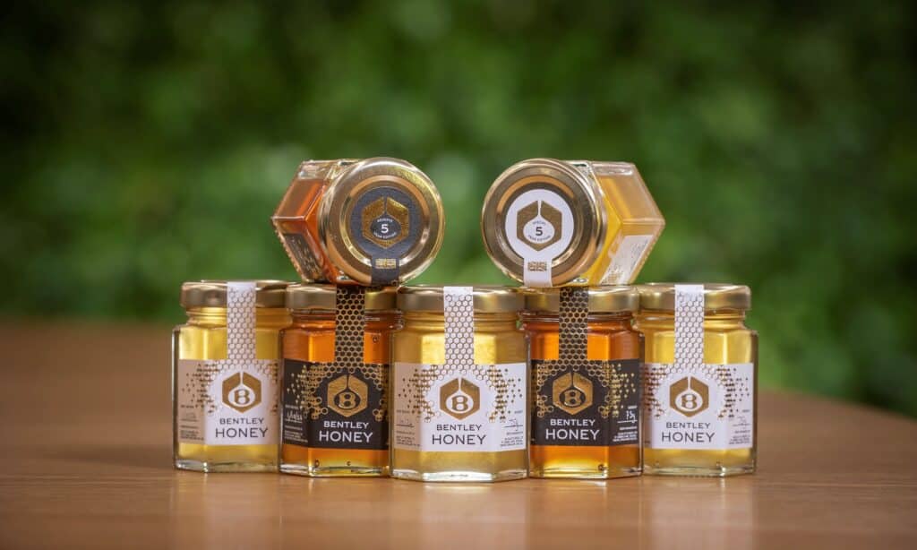 Bentley's Extraordinary Bees - 5 year honey edition - 1