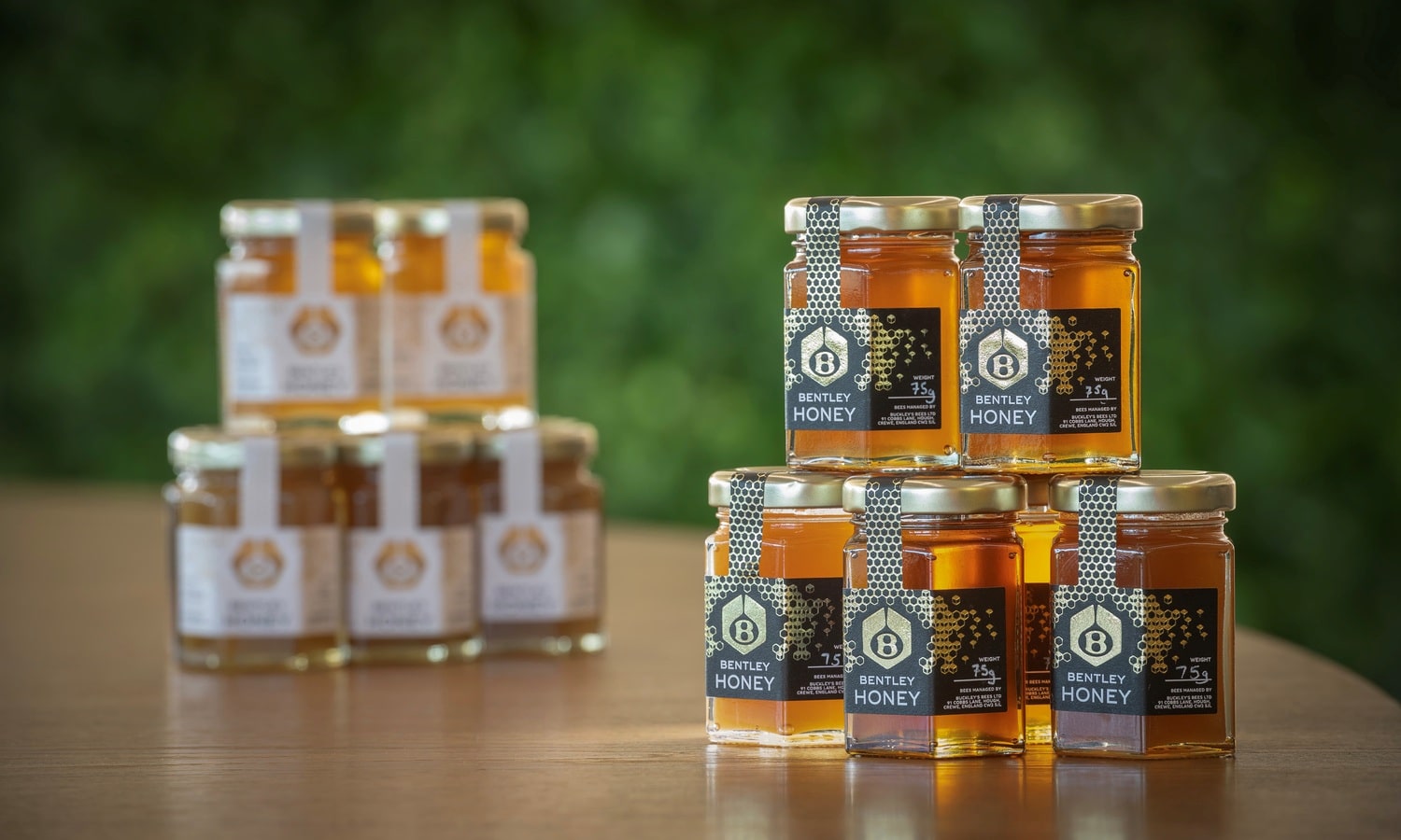 Bentley's Extraordinary Bees - 5 year honey edition - 5