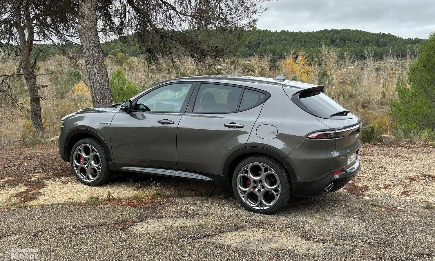 Tonole Prueba Alfa Romeo Tonale 1.6 Diésel 130 CV DDCT6
