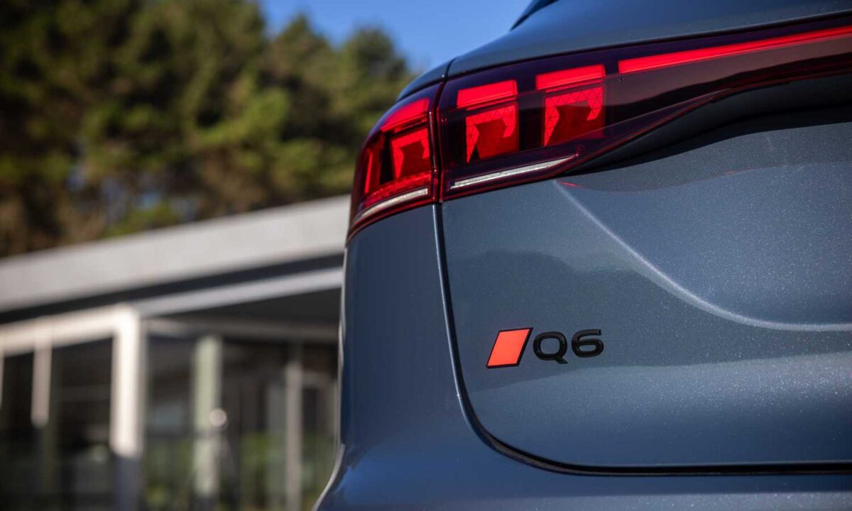 Shampoing Cire - Accessoire Compatible 203 I