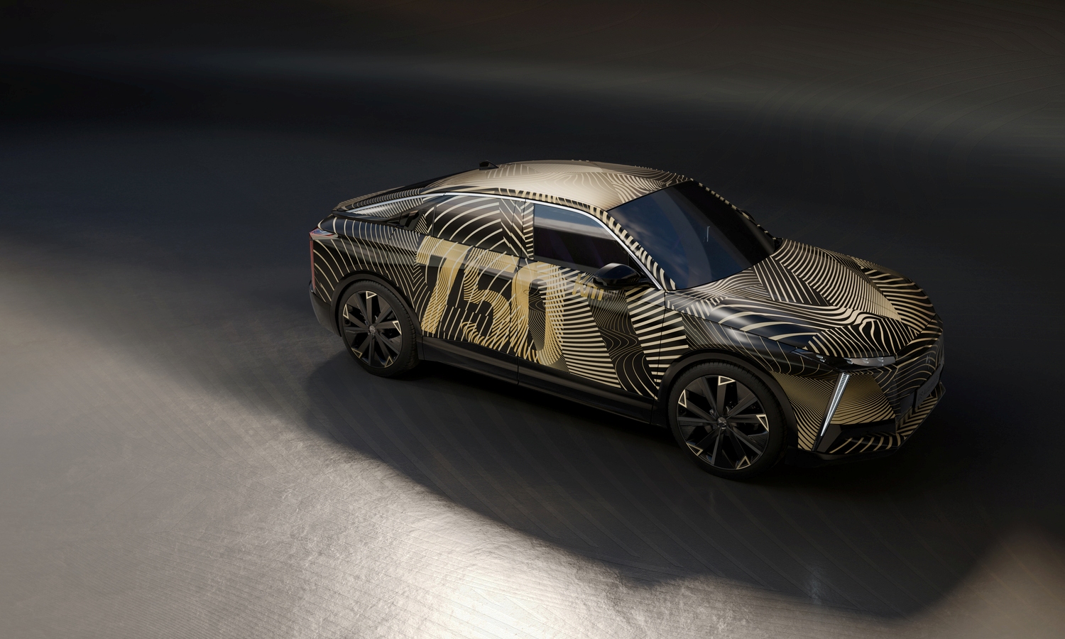DS 8 new model camo 0