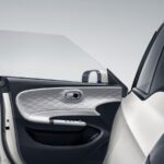 Dongfeng Box equipamiento
