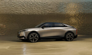 DS Nº8