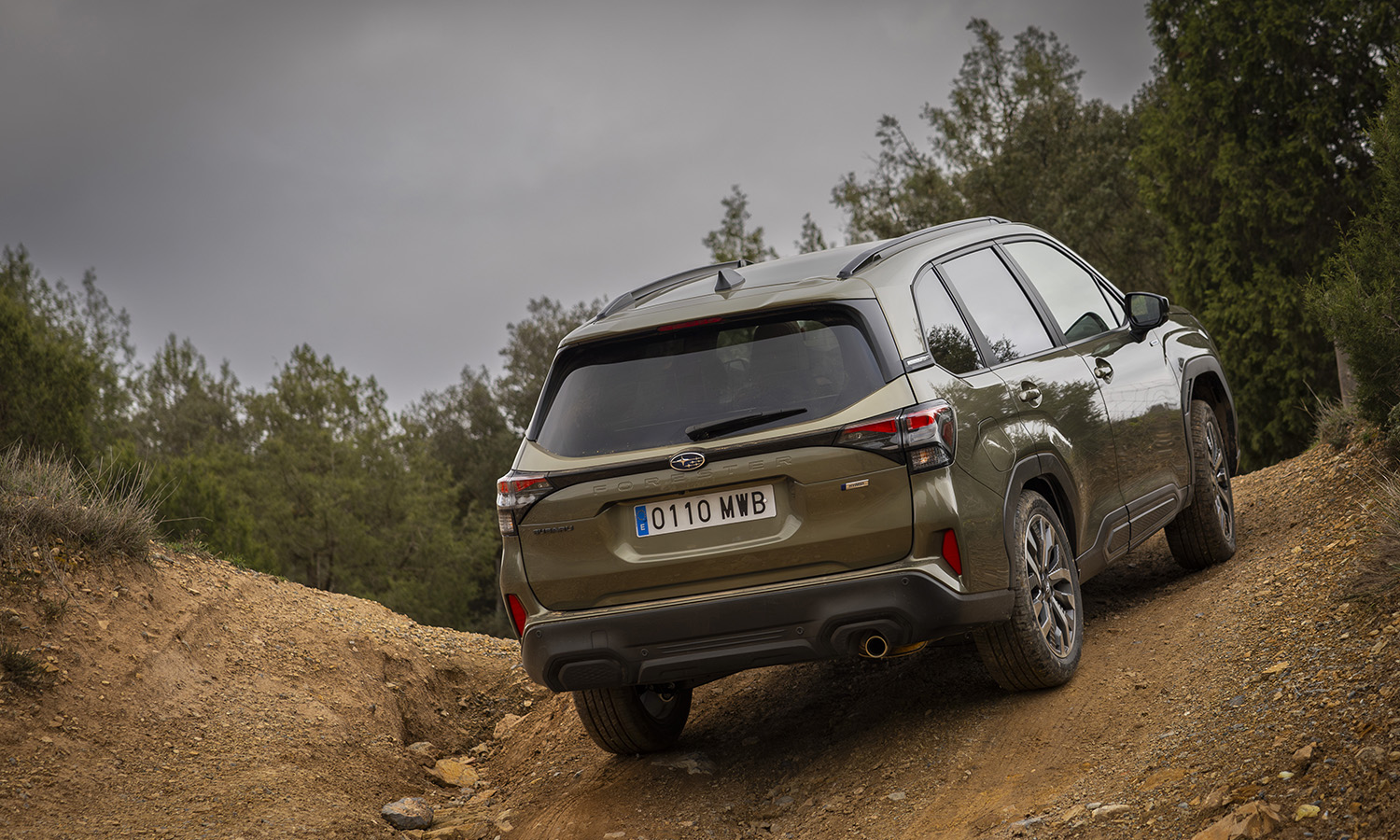 Prueba Subaru Forester todoterreno