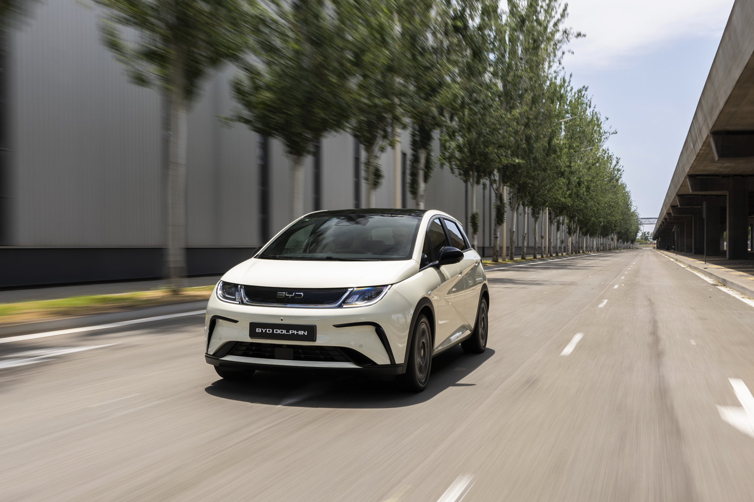 BYD DOLPHIN (3)